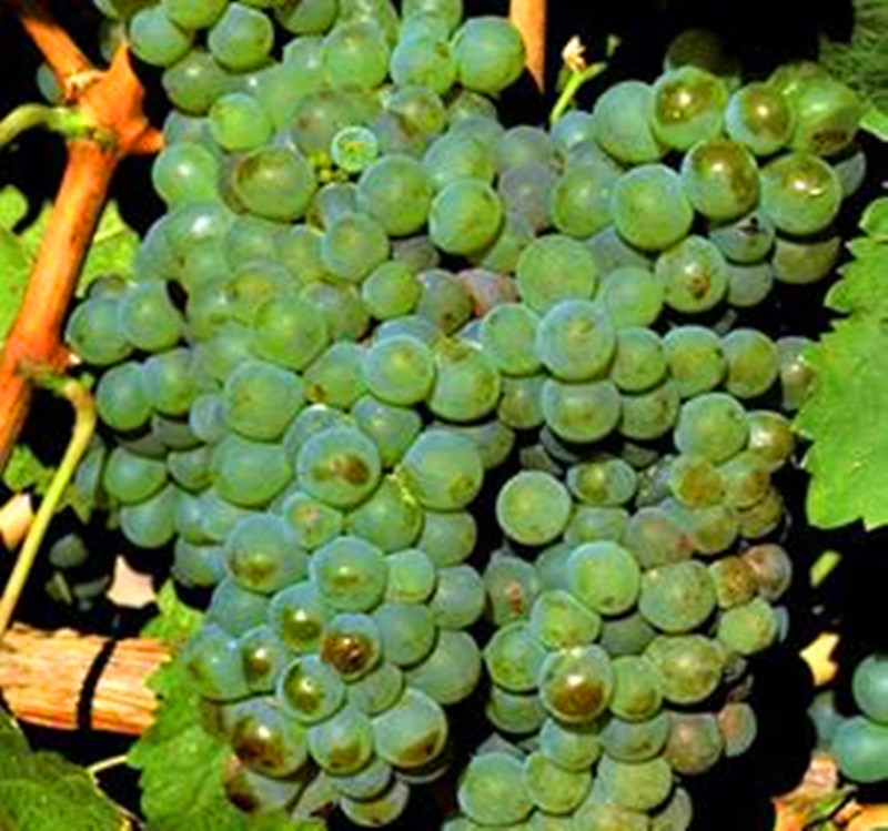 15763696813426.jpg t0188b827159efd5ea9.jpg