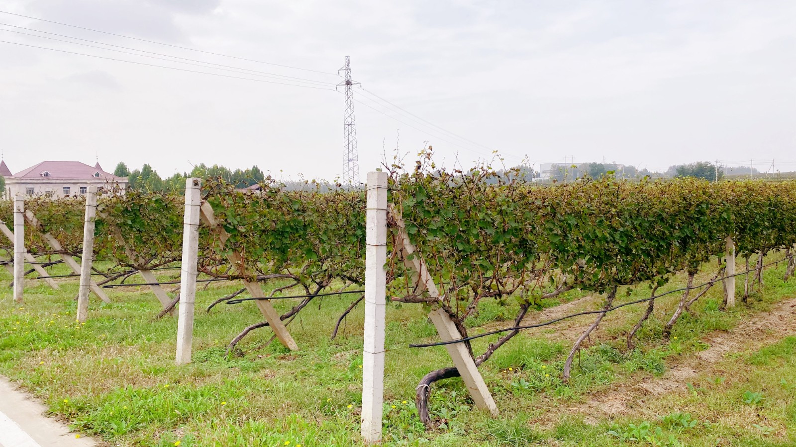 16337411861722.jpg 微信圖片_20211007153941.jpg