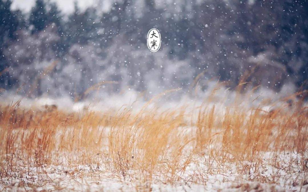 16426382926088.jpeg 8fecb2d996a715eea83f5d84053f7a7e.jpeg