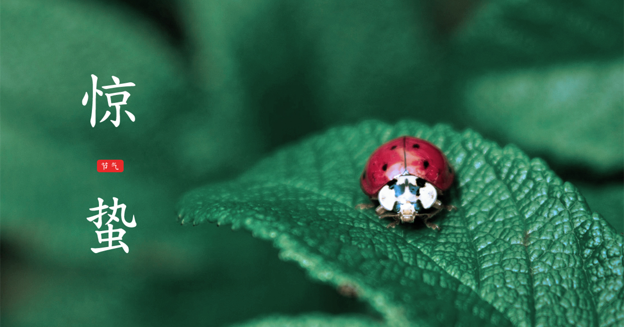 驚蟄 ▎驚蟄始，萬物舒，與你聽風望春來
