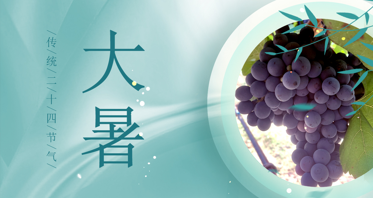 大暑 ▎時夏三伏盛，葡萄綴滿天