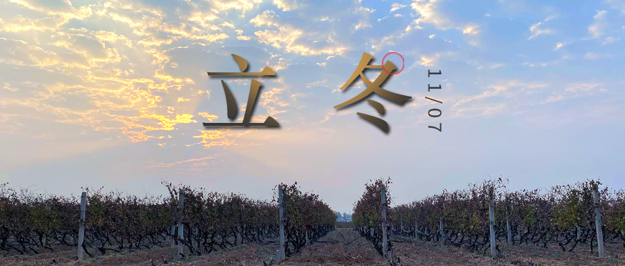 立冬 ▎四時有序，天地歸藏