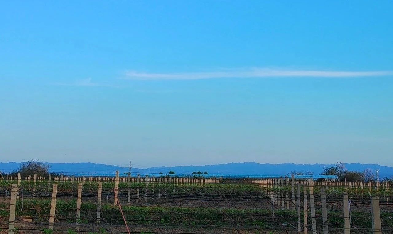 17161893329343.jpg ecf651352cba5b8a9788e160348e7fac.jpg